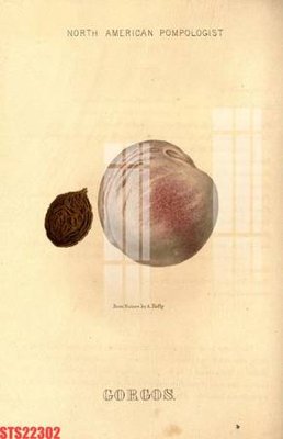 File gốc Tranh sơn dầu phương tây tổng hợp STS22302 (phiên bản chuẩn) để in ấn