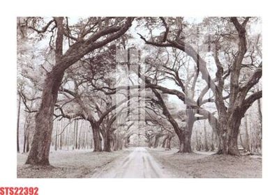 File PSD Tranh sơn dầu phương tây tổng hợp STS22392 (bản gốc) độ phân giải cao