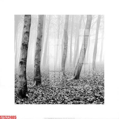 Download file gốc Tranh sơn dầu phương tây tổng hợp STS22405 (in mica) trang trí