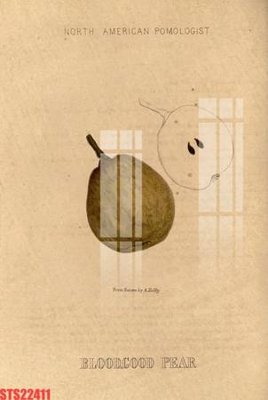 Tệp tin gốc Tranh sơn dầu phương tây tổng hợp STS22411 (dùng cho in) Tranh sơn dầu phương tây tổng hợp STS22411