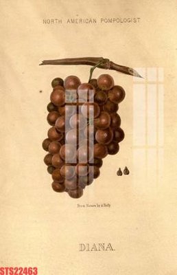 Tải file gốc Tranh sơn dầu phương tây tổng hợp STS22463 (in khổ lớn) quảng cáo