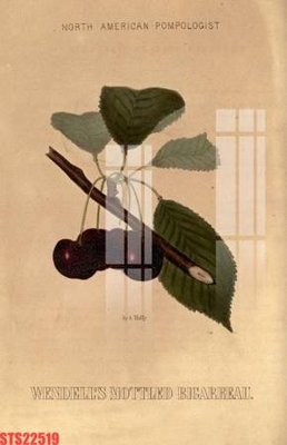 File ảnh Tranh sơn dầu phương tây tổng hợp STS22519 (gốc) cho trang trí nhà hàng