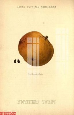 File in trần Tranh sơn dầu phương tây tổng hợp STS22532 (file gốc) phong thủy