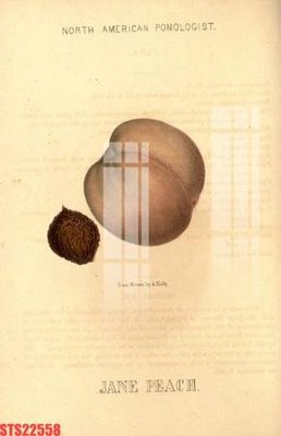 File gốc Tranh sơn dầu phương tây tổng hợp STS22558 (ảnh chi tiết) để in lụa