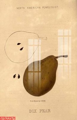 File tranh Tranh sơn dầu phương tây tổng hợp STS22571 (gốc) chủ đề thiên nhiên