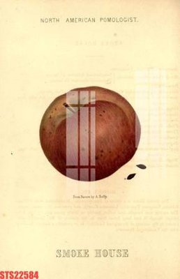 File tranh Tranh sơn dầu phương tây tổng hợp STS22584 (ảnh gốc) in trần nhà