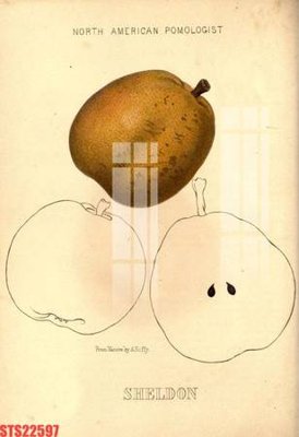 Tải file gốc Tranh sơn dầu phương tây tổng hợp STS22597 (in tráng gương) siêu đẹpFile tranh gốc Tranh sơn dầu phương tây tổng hợp STS22597 chất lượng cao