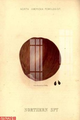 Tải file Tranh sơn dầu phương tây tổng hợp STS22610 (ảnh gốc) in tráng gương