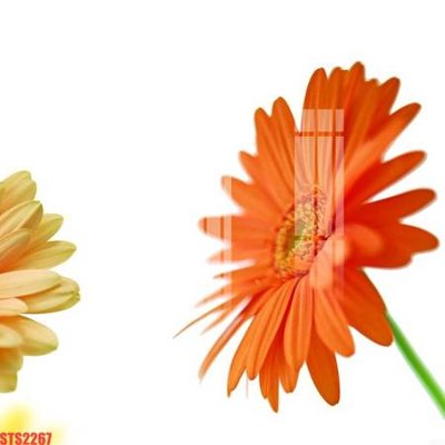 Download file gốc Tranh sơn dầu phương tây tổng hợp STS2267 (in lụa) tranh 3D