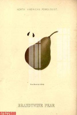 Chi tiết file gốc Tranh sơn dầu phương tây tổng hợp STS22680 (cho in tráng gương)