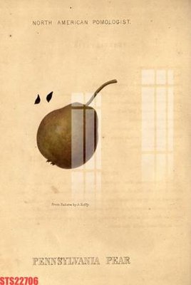 File tranh Tranh sơn dầu phương tây tổng hợp STS22706 (ảnh gốc) độc quyền