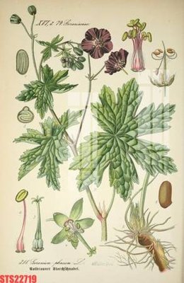 Tệp tin gốc Tranh sơn dầu phương tây tổng hợp STS22719 (dùng cho in) Tranh sơn dầu phương tây tổng hợp STS22719