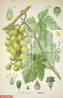 File tranh Tranh sơn dầu phương tây tổng hợp STS22732 (gốc) phong cách tối giản