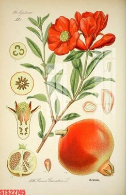 Tải file Tranh sơn dầu phương tây tổng hợp STS22745 (gốc) làm file in ấn