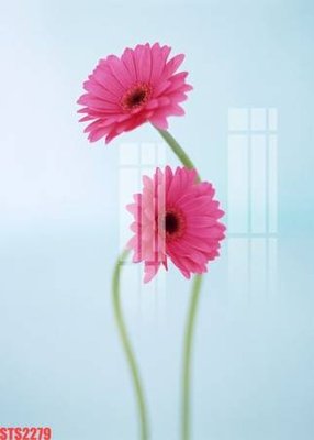 File gốc Tranh sơn dầu phương tây tổng hợp STS2279 (trang trí) phòng ngủ