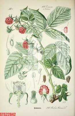 File gốc Tranh sơn dầu phương tây tổng hợp STS22842 (phong cách) châu Âu