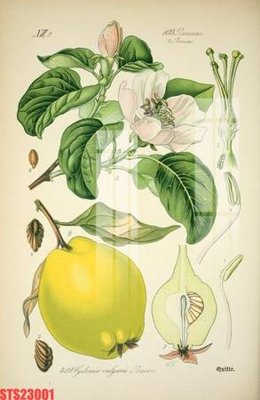 File ảnh Tranh sơn dầu phương tây tổng hợp STS23001 (gốc) cho trang trí nội thất