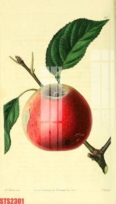 Tải file gốc Tranh sơn dầu phương tây tổng hợp STS2301 (in không vỡ ảnh)