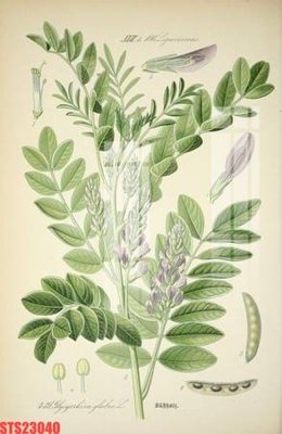 File in trần Tranh sơn dầu phương tây tổng hợp STS23040 (bản gốc) đại dương