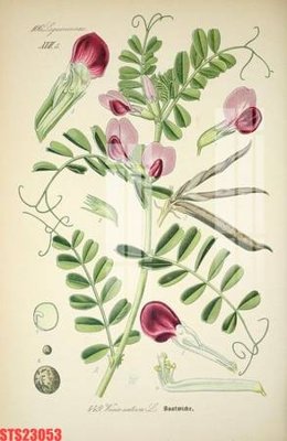 File gốc Tranh sơn dầu phương tây tổng hợp STS23053 (thiết kế) độc quyền