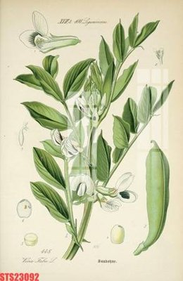 Tải file Tranh sơn dầu phương tây tổng hợp STS23092 (ảnh gốc) in gạch 3D