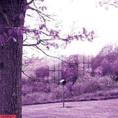 File gốc Tranh sơn dầu phương tây tổng hợp STS23168 (Filetranh.com) Tranh sơn dầu phương tây tổng hợp STS23168