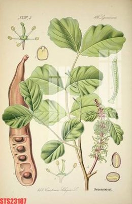 Mua file gốc Tranh sơn dầu phương tây tổng hợp STS23187 (chất lượng) tại Filetranh.com