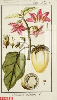 Tải file gốc Tranh sơn dầu phương tây tổng hợp STS23213 (in tráng gương) 5DFile gốc Tranh sơn dầu phương tây tổng hợp STS23213 (in ấn) phiên bản premium