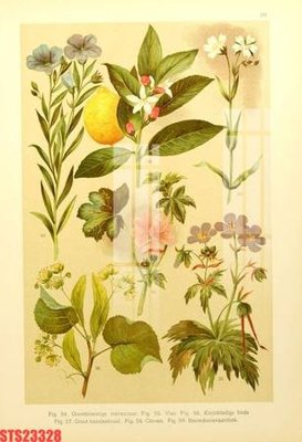 File PSD Tranh sơn dầu phương tây tổng hợp STS23328 (gốc) cho designer