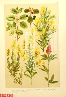 File ảnh gốc Tranh sơn dầu phương tây tổng hợp STS23340 không vỡ nét