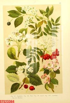 File gốc Tranh sơn dầu phương tây tổng hợp STS23364 (in lụa) tranh thuận buồm