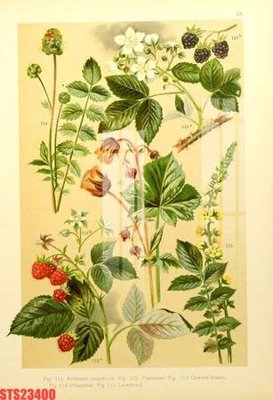 Tải file Tranh sơn dầu phương tây tổng hợp STS23400 (PSD) cho in tranh 3D