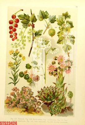 Tải file gốc Tranh sơn dầu phương tây tổng hợp STS23424 (bản PSD) đầy đủ layer