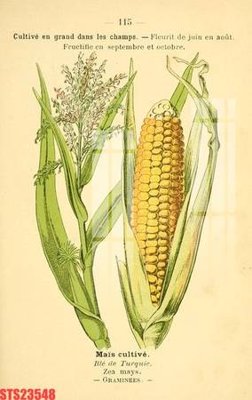 File in trần Tranh sơn dầu phương tây tổng hợp STS23548 (file gốc) phong thủy