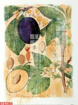 Tải file gốc Tranh sơn dầu phương tây tổng hợp STS2365 (in tráng gương) 5DFile gốc Tranh sơn dầu phương tây tổng hợp STS2365 (in ấn) phiên bản premium