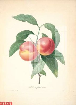 Cung cấp file tranh gốc Tranh sơn dầu phương tây tổng hợp STS2378 độc quyền