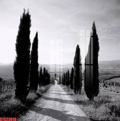 File tranh Tranh sơn dầu phương tây tổng hợp STS23810 (ảnh gốc) độc quyền