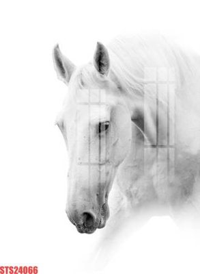 File tranh Tranh sơn dầu phương tây tổng hợp STS24066 (ảnh gốc) cho in ấn kỹ thuật số