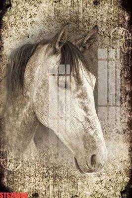 File tranh in trần 3D Tranh sơn dầu phương tây tổng hợp STS24068 (ảnh gốc)