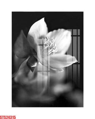 Tải file Tranh sơn dầu phương tây tổng hợp STS24315 (gốc) làm file quảng cáo