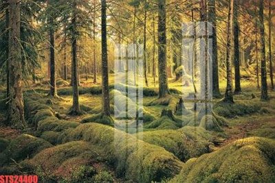 Hình ảnh file gốc in lụa Tranh sơn dầu phương tây tổng hợp STS24400