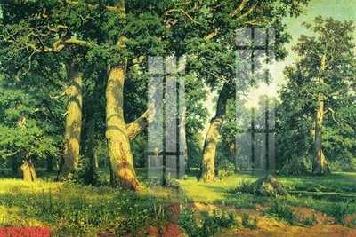 Ảnh gốc Tranh sơn dầu phương tây tổng hợp STS24509 (độ nét cao) in tráng gương