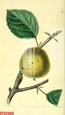 File tranh Tranh sơn dầu phương tây tổng hợp STS2469 (ảnh gốc) sắc nét hoàn hảo