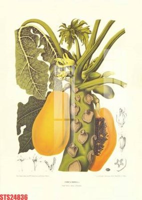 File tranh Tranh sơn dầu phương tây tổng hợp STS24836 (bản gốc) in lụa 5D