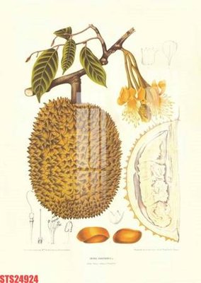 File gốc in tráng gương Tranh sơn dầu phương tây tổng hợp STS24924 chi tiết