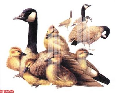 Tải file Tranh sơn dầu phương tây tổng hợp STS2525 (gốc) in nhanh