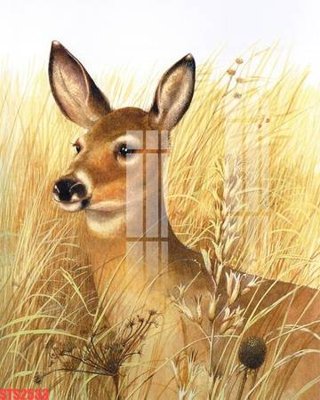 File tranh trang trí Tranh sơn dầu phương tây tổng hợp STS2533 (file gốc)