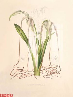 Tải file Tranh sơn dầu phương tây tổng hợp STS25732 (ảnh gốc) file TIFF