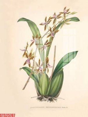 File tranh Tranh sơn dầu phương tây tổng hợp STS25787 (file gốc) chủ đề phong thủy