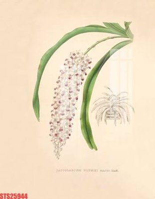 Download file Tranh sơn dầu phương tây tổng hợp STS25944 (chuẩn in) Tranh sơn dầu phương tây tổng hợp STS25944